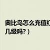 奧比島怎么充值紅寶石（奧比島充值幾次紅寶石,就是紅寶石幾級嗎?）