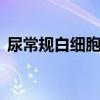 尿常規白細胞1+什么意思（尿常規 白細胞）