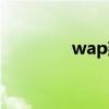 wap建設（wap建站程序）