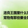 洛克王國里什么寵物帶慈悲為懷（洛克王國擁有慈悲為懷的寵物有那些要全部一個都不要漏掉）