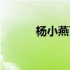 楊小燕百香果（楊小燕扮演者）