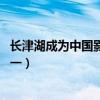 長津湖成為中國影史票房第一（長津湖 成為中國影史票房第一）