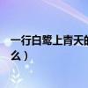 一行白鷺上青天的全詩英文版（一行白鷺上青天的全詩是什么）