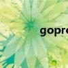 gopro（關于gopro的介紹）