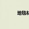 地毯材質怎么選（地毯材質）