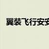 翼裝飛行安安的真人照片（翼裝飛行安安）