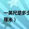 一英尺是多少厘米長答題攻略（一英尺是多少厘米）
