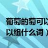 葡萄的萄可以組什么詞兩個字的（葡萄的萄可以組什么詞）