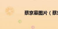 蔡京墓圖片(蔡京墓)