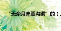 “無奈月亮照溝渠”的(上一句是什么)
