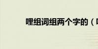 哩組詞組兩個字的(哩組詞組)