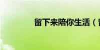 留下來陪你生活(留下來)
