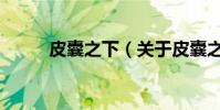 皮囊之下(關于皮囊之下的介紹)