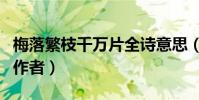 梅落繁枝千萬片全詩意思(梅落繁枝千萬片的作者)