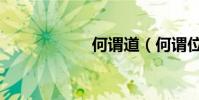 何謂道(何謂位移)