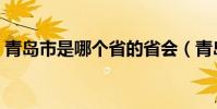 青島市是哪個省的省會(青島市是哪個省的)