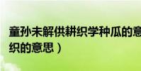 童孫未解供耕織學種瓜的意思(童孫未解供耕織的意思)