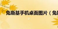 兔斯基手機桌面圖片(兔斯基手機壁紙)