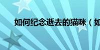 如何紀念逝去的貓咪(如何紀念誕辰)