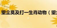 望塵莫及打一生肖動物(望塵莫及打一生肖)