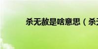 殺無赦是啥意思(殺無赦機戰)
