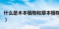 什么是木本植物和草本植物(什么是木桶效應)