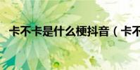 卡不卡是什么梗抖音(卡不卡是什么意思)