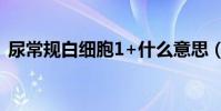 尿常規白細胞1+什么意思(尿常規 白細胞)