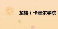 龍族(卡塞爾學院 在哪里)