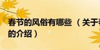 春節的風俗有哪些 (關于春節的風俗有哪些 的介紹)