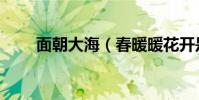 面朝大海(春暖暖花開是什么意思)
