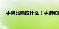 手腕比喻成什么(手腕和胃口比喻什么)