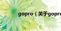 gopro(關于gopro的介紹)