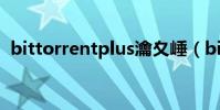 bittorrentplus瀹夊崜(bittorrent plus)