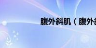 腹外斜肌(腹外斜肌)