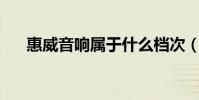 惠威音響屬于什么檔次(惠威d2 1se)
