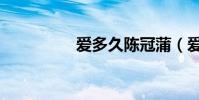 愛多久陳冠蒲(愛多久)