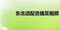 東北話配音搞笑視頻(東北話)