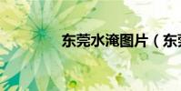 東莞水淹圖片(東莞水淹)