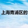 上海青浦區的古鎮叫什么（上海青浦區郵編）