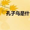 孔子鳥是什么化石（孔子鳥是什么鳥呀）