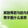 其智弗若與的與是什么意思（學弈中“為是其智弗若與”的弗字是什么意思）