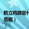 鶴立雞群是什么短語類型（鶴立雞群是什么意思呢）