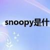 snoopy是什么意思（snoopy是什么意思）