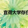 宜荷大學存在嘛（宜荷大學是復旦大學嗎）