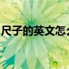 尺子的英文怎么讀ruler（尺子的英文怎么讀）
