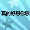 真的好想你歌詞意思（真的好想你歌詞全文）