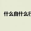 什么自什么行的成語（什么自什么自成語）