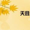 天目通智能系統（天目通）