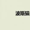 波斯貓全圖（波斯貓全部歌詞）